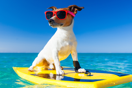 National Sunglasses Day