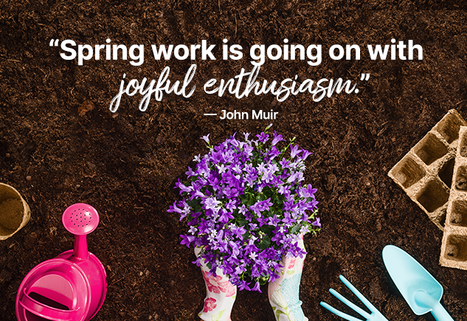Hello, spring! We’ve missed you. 