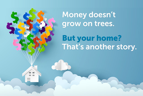 Money doesn't grow on trees. But your home? That's another story.
