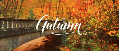 Happy First Day of Fall!