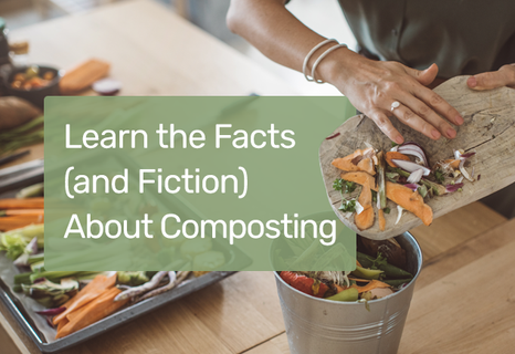 Learn the Facts (and Fiction) About Composting