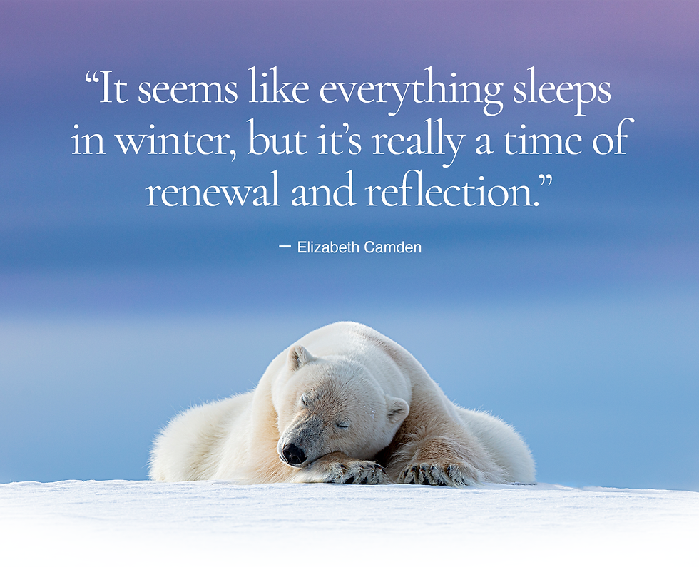 A polar bear sleeping on ice. A quote above it says It seems like everything sleeps in winter, but it's really a time of renewal and reflection. Elizabeth Camden.