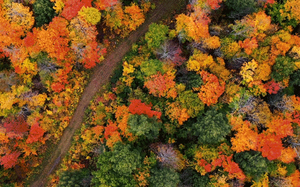 Soak in the colors, Sip some cider, Relive your Childhood. Make some new memories!